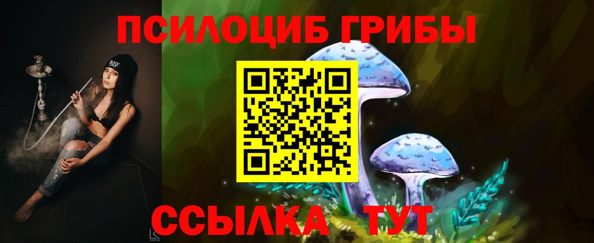 Псилоцибиновые грибы мицелий Спасск-Дальний